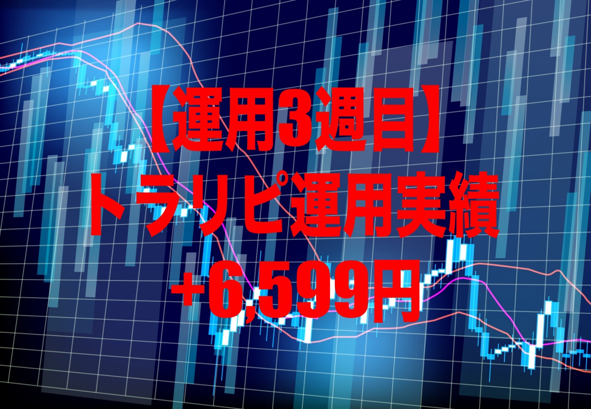 【運用3週目】トラリピの運用実績は+6,599円