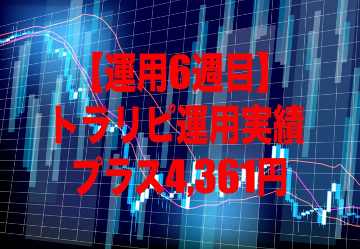 【運用6週目】トラリピの運用実績は+4,361円