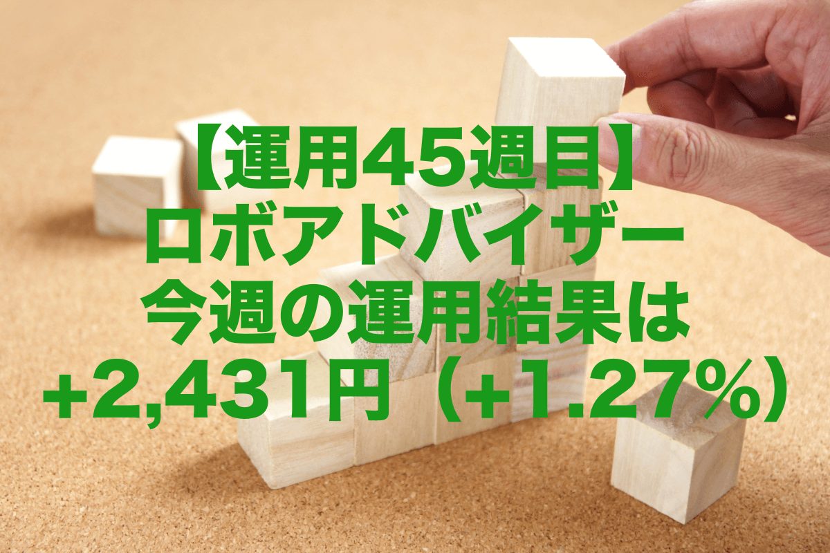 【運用45週目】ロボアドバイザー今週の運用結果は+2,431円（+1.27%）