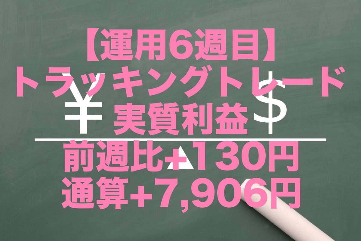 【運用6週目】トラッキングトレードの実質利益は前週比+130円、通算+7,906円