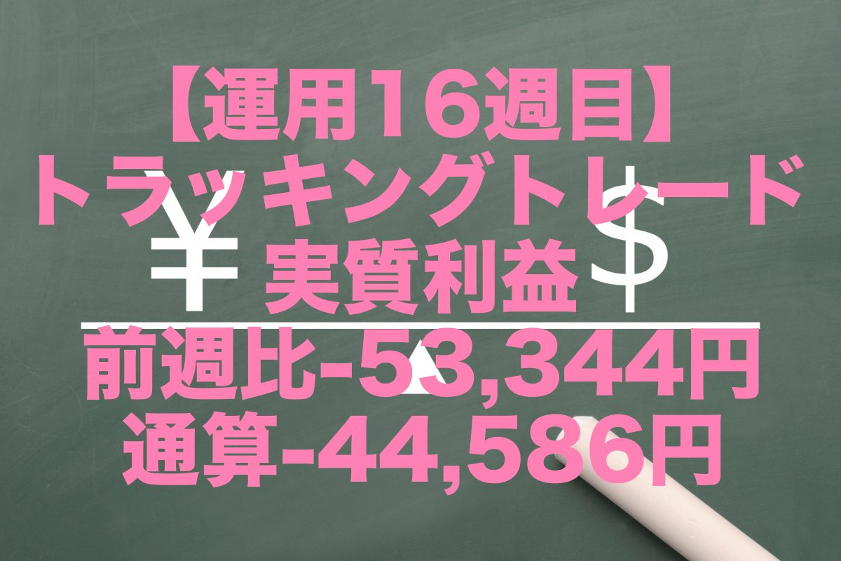 【運用16週目】トラッキングトレードの実質利益は前週比-53,344円、通算-44,586円