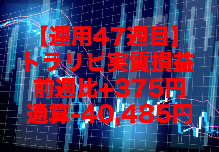 【運用47週目】トラリピの実質利益は前週比+375円、通算-40,485円