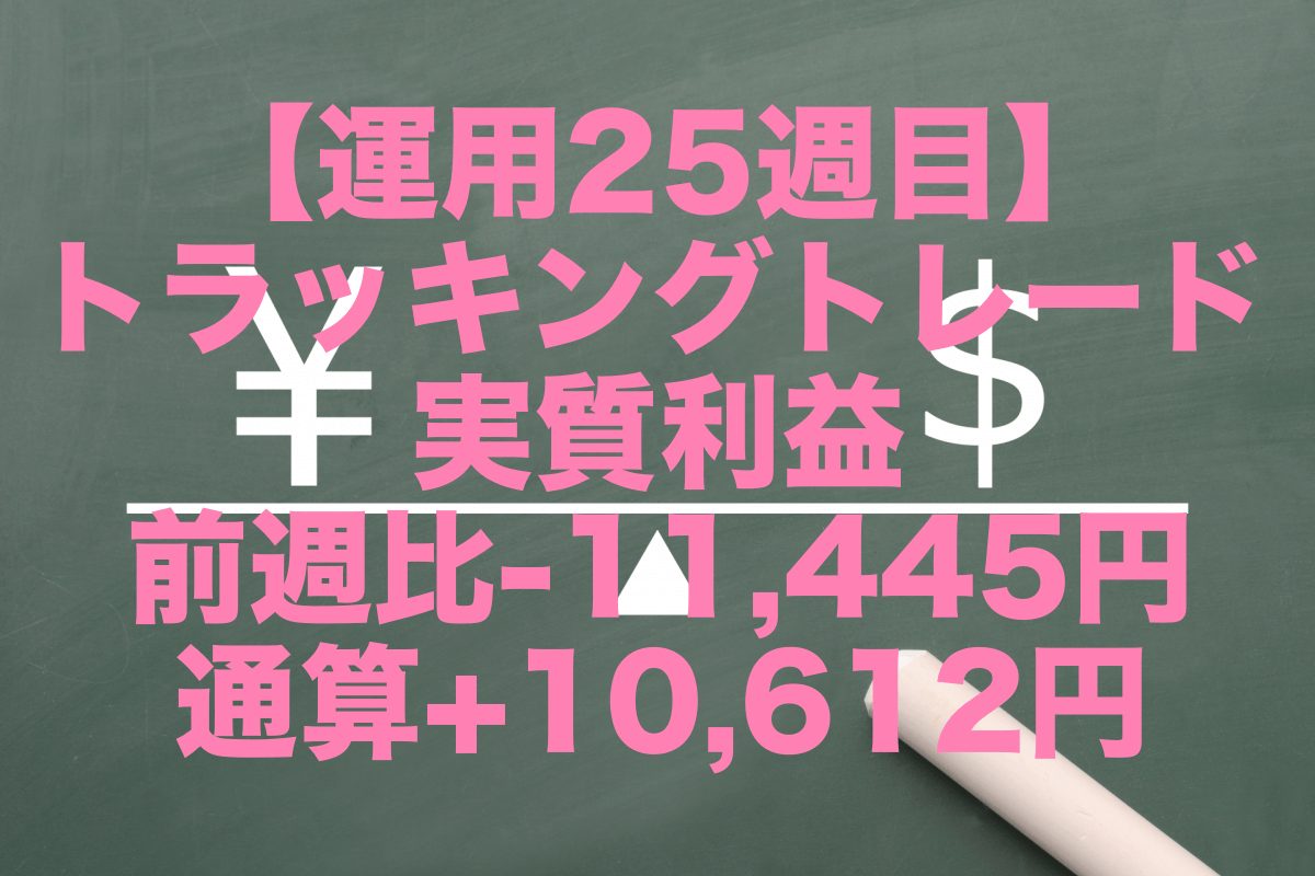 【運用25週目】トラッキングトレードの実質利益は前週比-11,445円、通算+10,612円