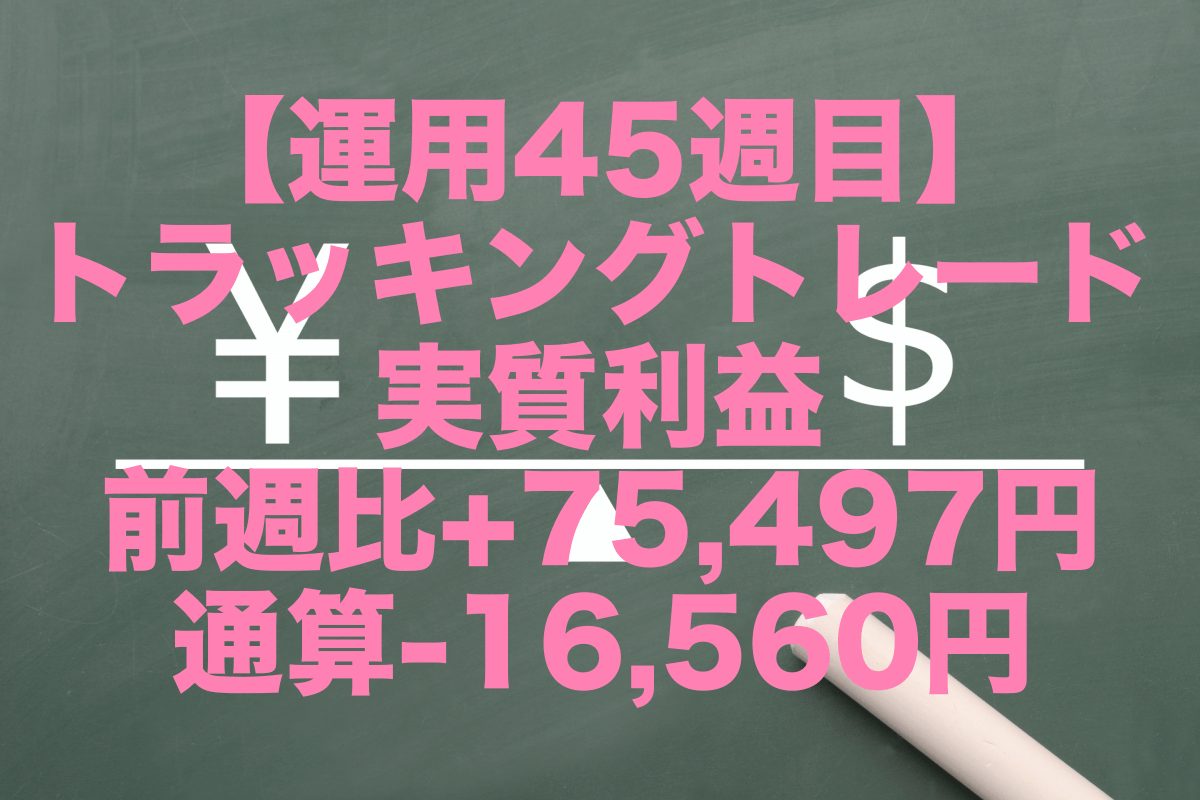 【運用45週目】トラッキングトレードの実質利益は前週比+75,497円、通算-16,560円