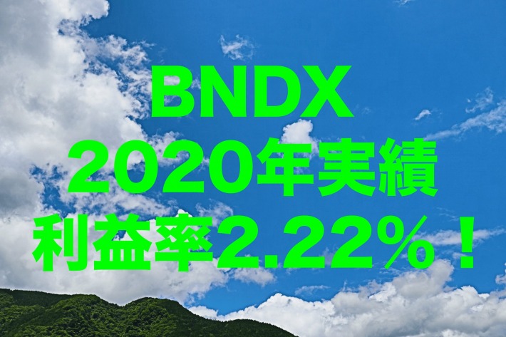利益率2.22%!2020年のBNDX(バンガード・トータル・インターナショナル債券 ETF)運用実績