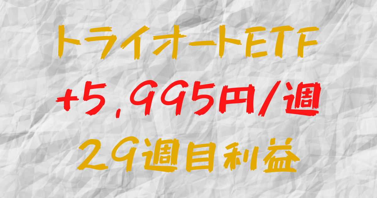 トライオートETF 週間利益+5,995円（29週目）