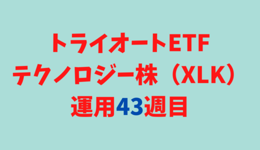 トライオートETFの「テクノロジー株_30」運用実績【43週目】
