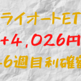 トライオートETF 今週の確定利益+4,026円（46週目）