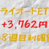 トライオートETF 今週の確定利益+3,762円（48週目）