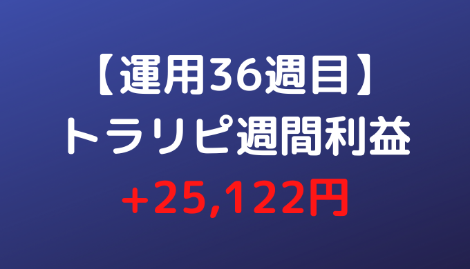 【運用36週目】トラリピ週間利益+25,122円