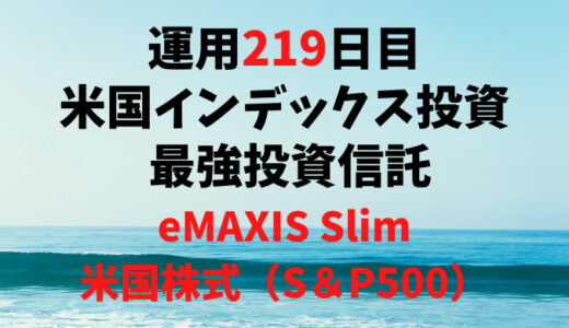 【運用219日目】米国インデックス投資 おすすめ投資信託6選の最強投資信託は「eMAXIS Slim米国株式（S＆P500）」