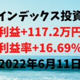 インデックス投資による利益+117.2万円（利益率+16.69%）【2022年6月11日】