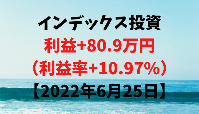 インデックス投資による利益+80.9万円（利益率+10.97%）【2022年6月25日】