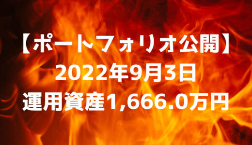 【ポートフォリオ公開】2022年9月3日時点の運用資産は1,666.0万円