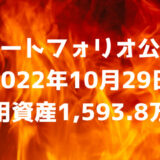 【資産ポートフォリオ】2022年10月29日時点の投資運用資産は1,593.8万円