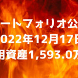 【資産ポートフォリオ】2022年12月17日時点の投資運用資産は1,593.0万円