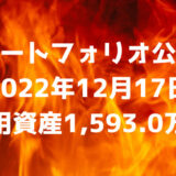 【資産ポートフォリオ】2022年12月17日時点の投資運用資産は1,593.0万円