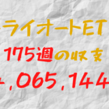 2024年5月20日週のトライオートETF収支マイナス4,065,144円（175週目）